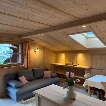 Aussermooserhof Apartman Alpbach
