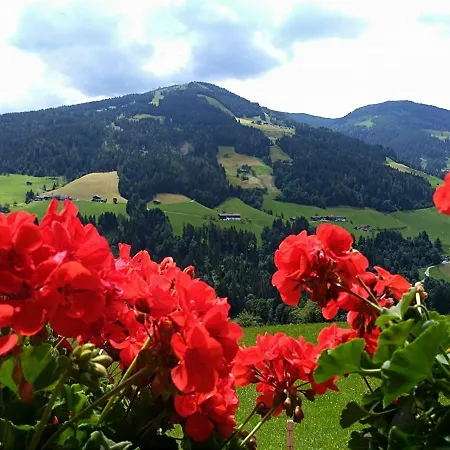 Aussermooserhof Apartment