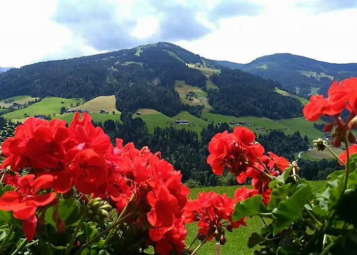 Aussermooserhof Apartman